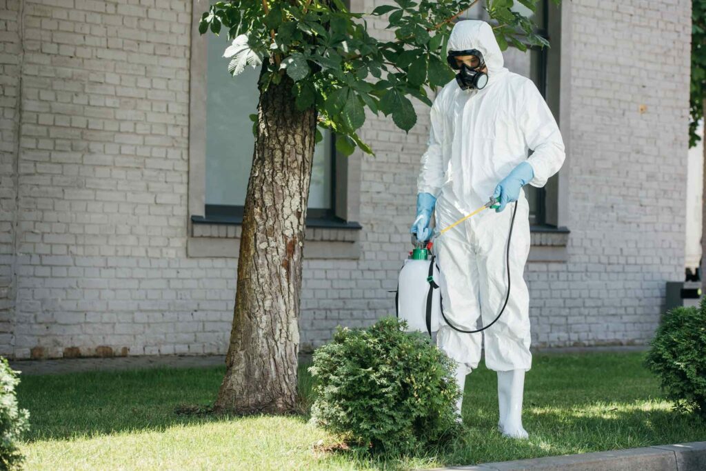 extermination elimination controle nuisible