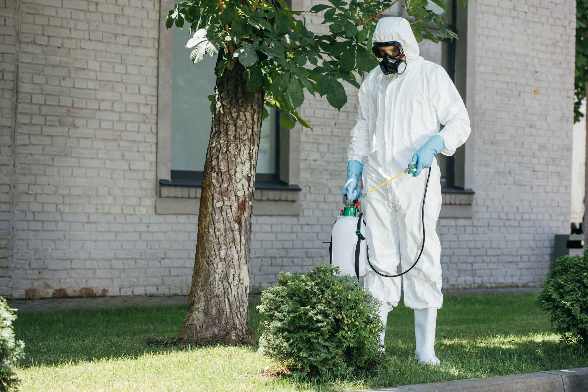 extermination elimination controle nuisible